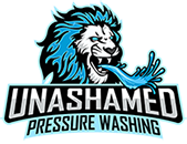 Unashamed Pressure Washing