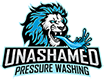 Unashamed Pressure Washing